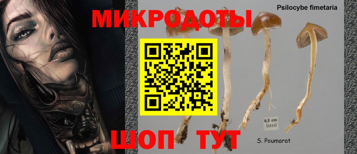 Псилоцибиновые грибы ЛСД  Вход с VPN  Галлюциногенные грибы MAGIC MUSHROOMS  Чебоксары 